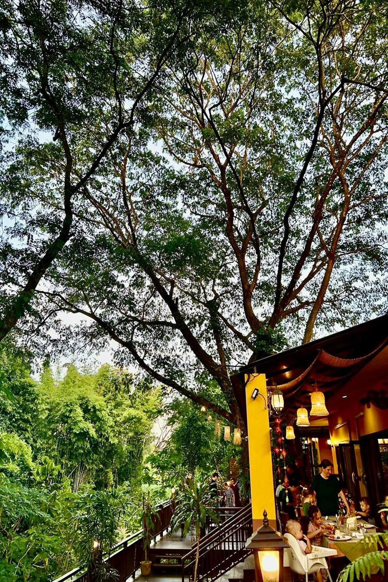 Papai Country Lodge Sha Ban Mae Pong Esterno foto